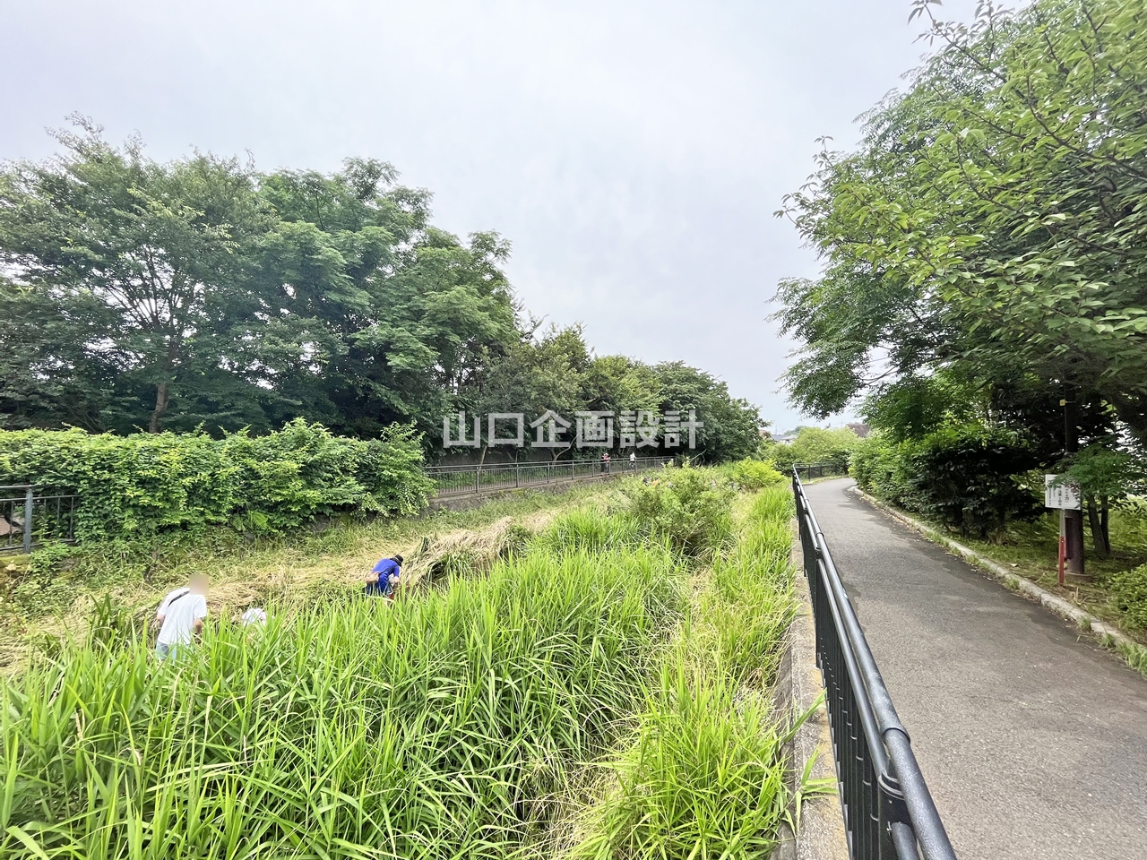 落合川いこいの水辺