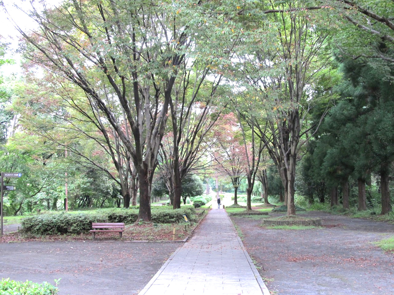 智光山公園