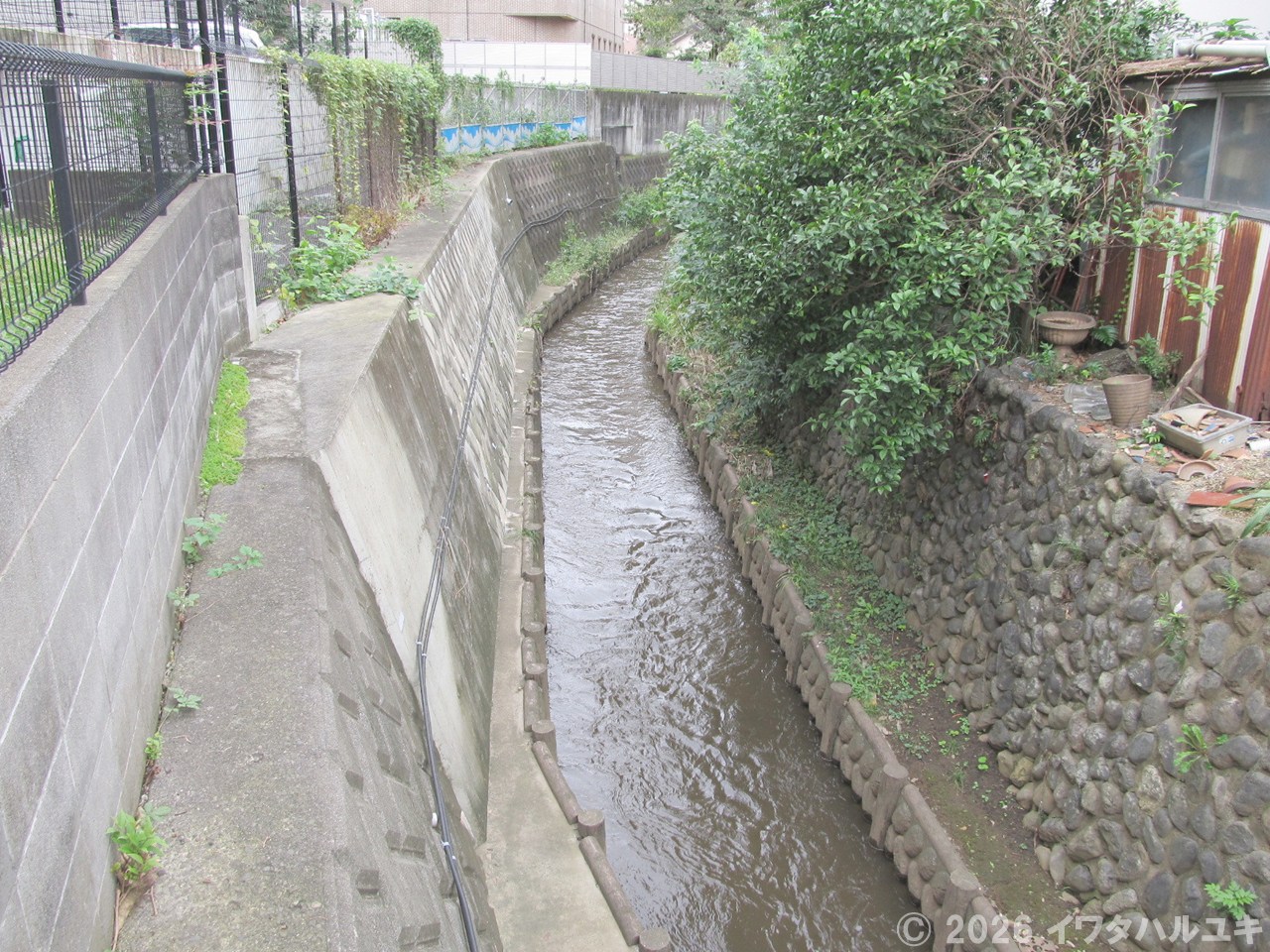 住宅街を流れる東川