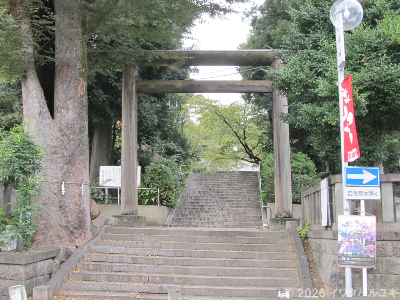 鳥居をくぐって境内へ