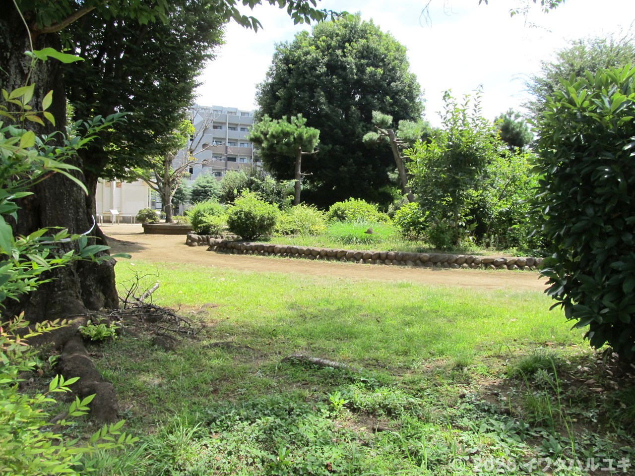 <南台ふじみ公園>